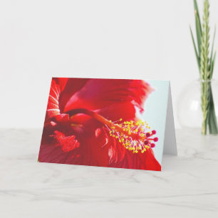 Embossed Red Hibiscus, Flame Kort