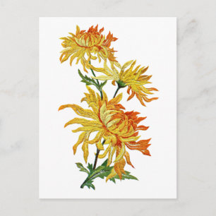 Embroired Golden Chinese Chrysanthemum Vykort