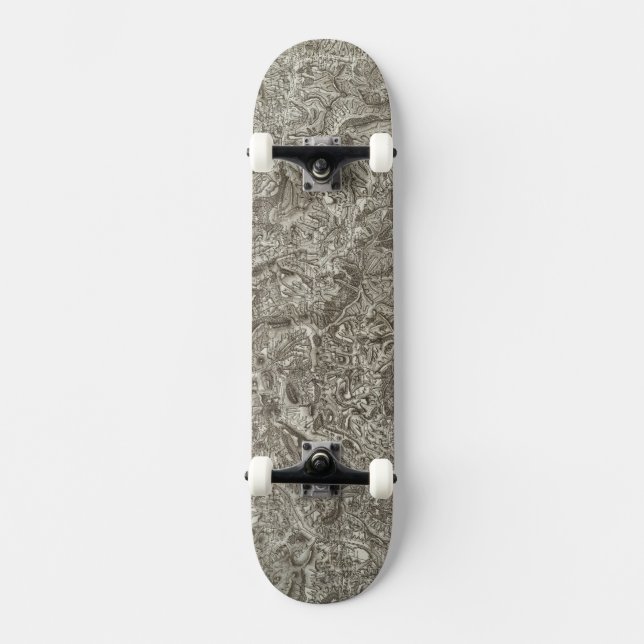 Embrun Skateboard Bräda 21,5 Cm (Framsida)
