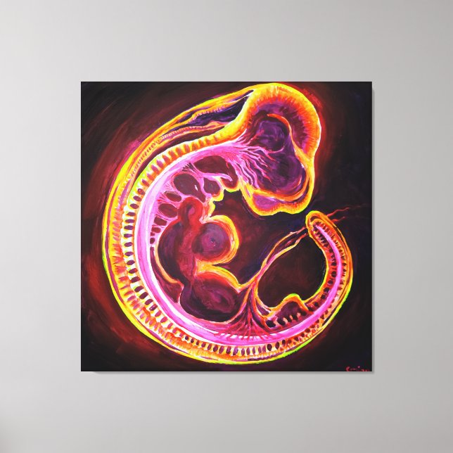 Embryo Canvastryck (Framsida)