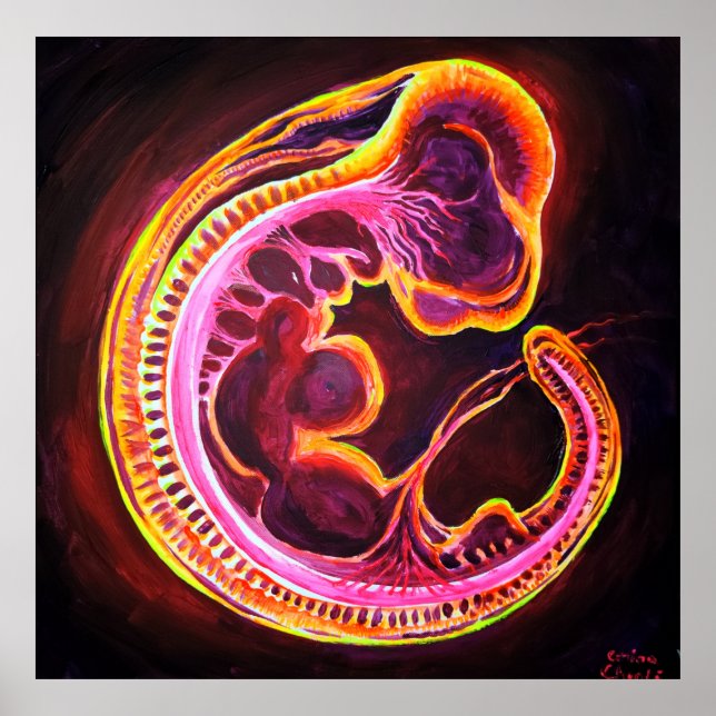 Embryo Poster (Framsidan)