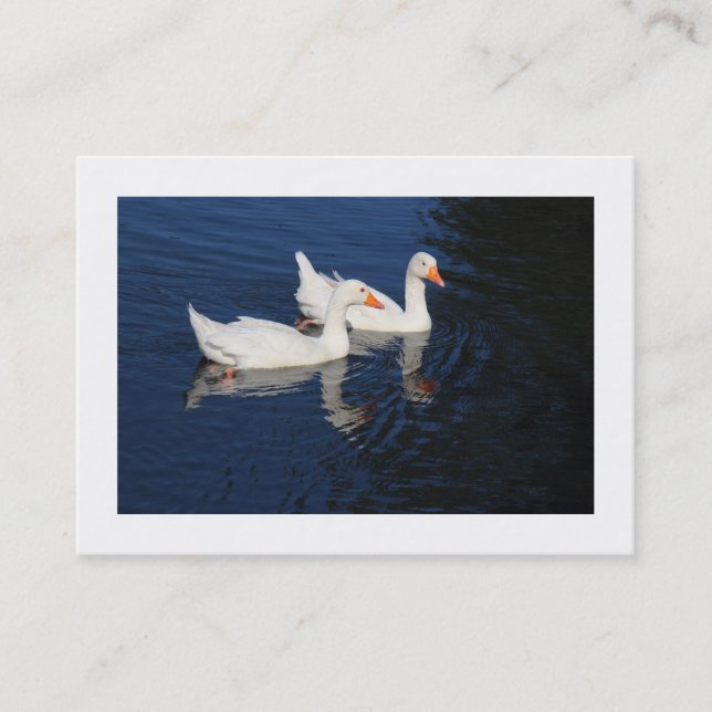 Emden Geese (gränsad) Visitkort (Framsida)
