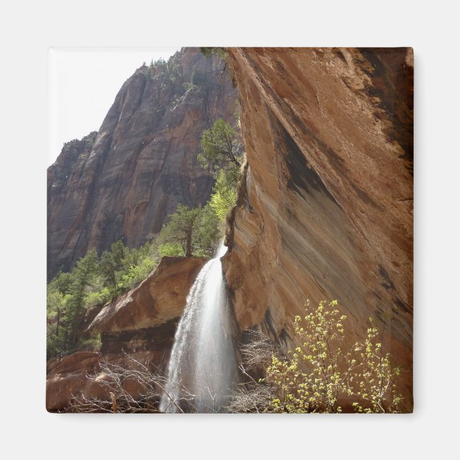 Emerald Bassäng Falls III från Zion nationalpark Magnet (Framsidan)