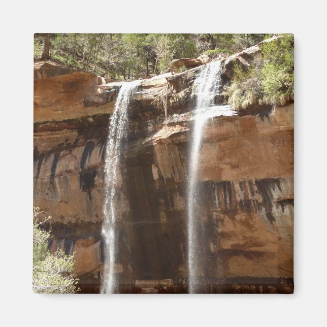 Emerald Bassäng Falls IV från Zion nationalpark Magnet (Framsidan)