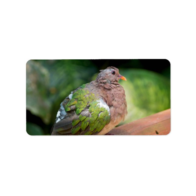 Emerald Dove Profile och Perch Adressetikett (Framsidan)