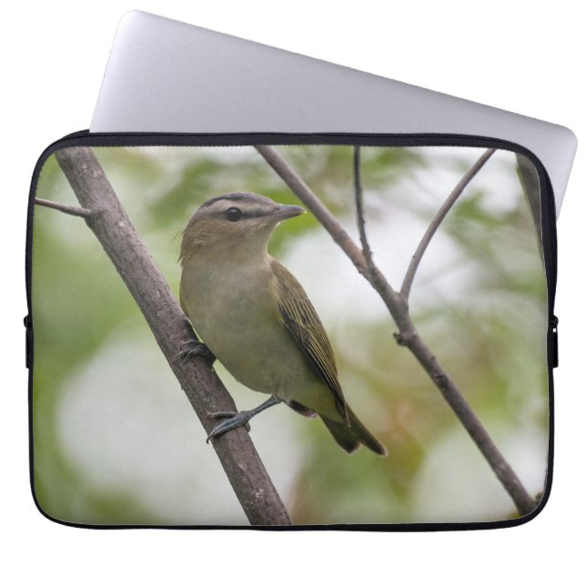 Emerald Elegance: Red-Eyed Vireo Canadian Wildlife Laptop Fodral (Framsidan)