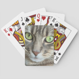 Emerald Eyes – Portrait of a Green-Eyed Cat Casinokort