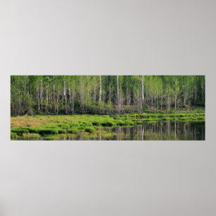 Emerald Forest Poster