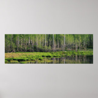 Emerald Forest Poster