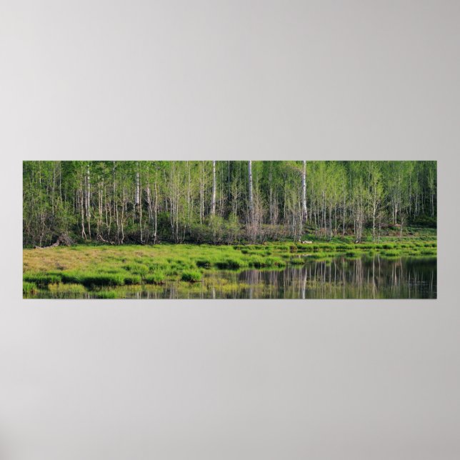 Emerald Forest Poster (Framsidan)