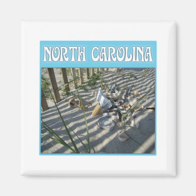 Emerald Isle Beach Seashell Collection Magnet (Framsidan)