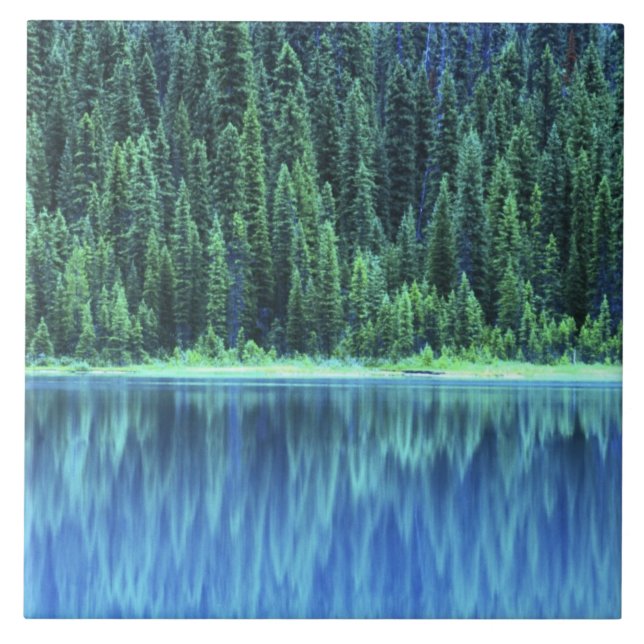 Emerald Lake, Yoho NP, BC, Kanada Kakelplatta (Framsidan)