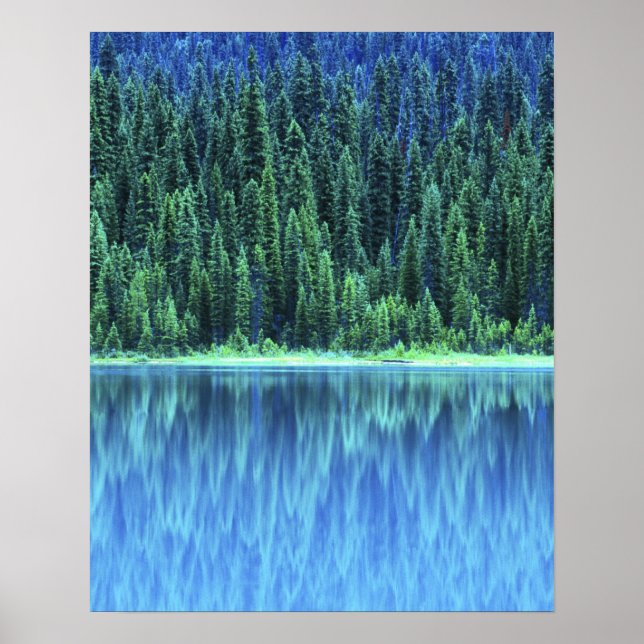 Emerald Lake, Yoho NP, BC, Kanada Poster (Framsidan)
