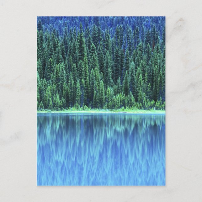 Emerald Lake, Yoho NP, BC, Kanada Vykort (Framsida)