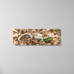 Emerald lizard Salamander i jorden Canvastryck