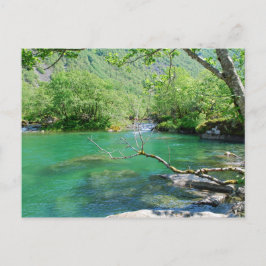 Emerald Peace-vykort Vykort