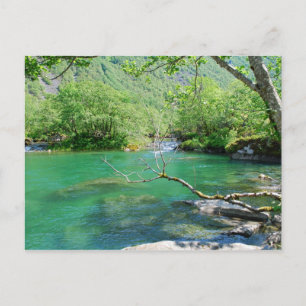 Emerald Peace-vykort Vykort