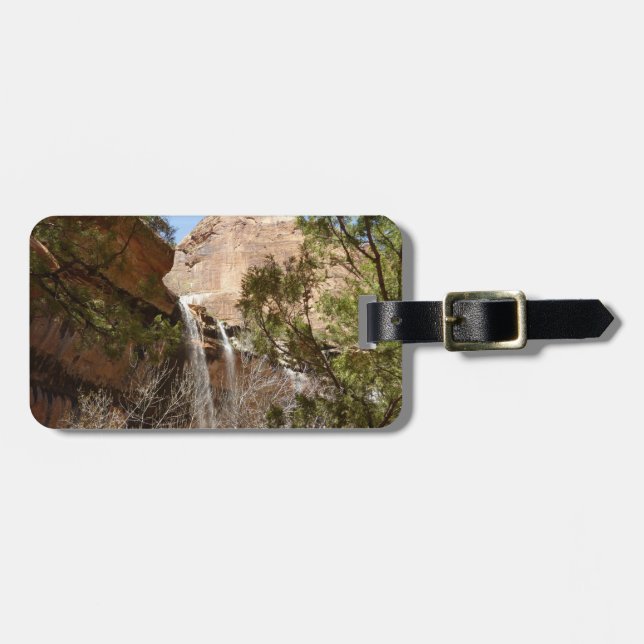 Emerald Pool Falls I från Zion National Park Bagagebricka (Horisontell Framsida)