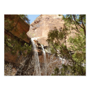 Emerald Pool Falls I från Zion National Park Fototryck