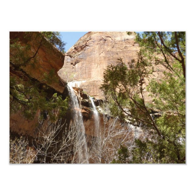 Emerald Pool Falls I från Zion National Park Fototryck (Framsidan)