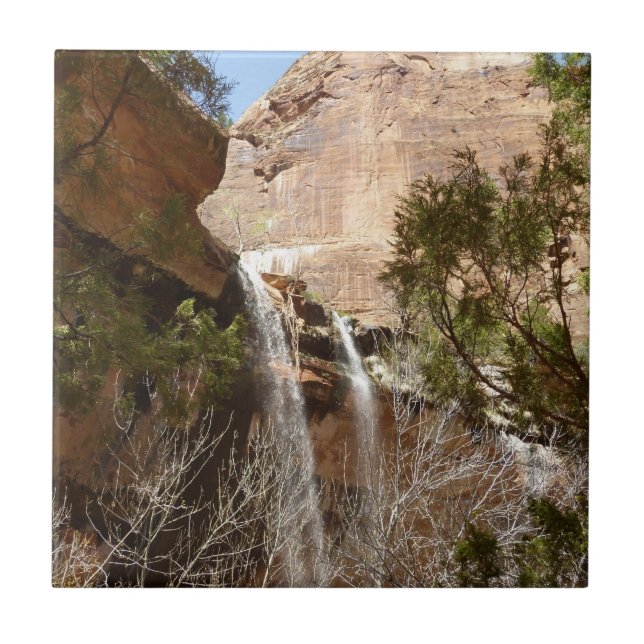 Emerald Pool Falls I från Zion National Park Kakelplatta (Framsidan)