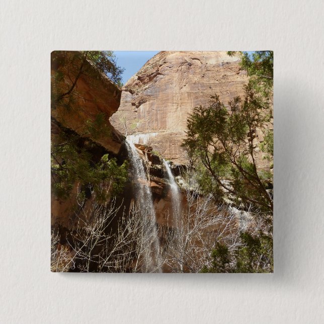 Emerald Pool Falls I från Zion National Park Knapp (Framsida)