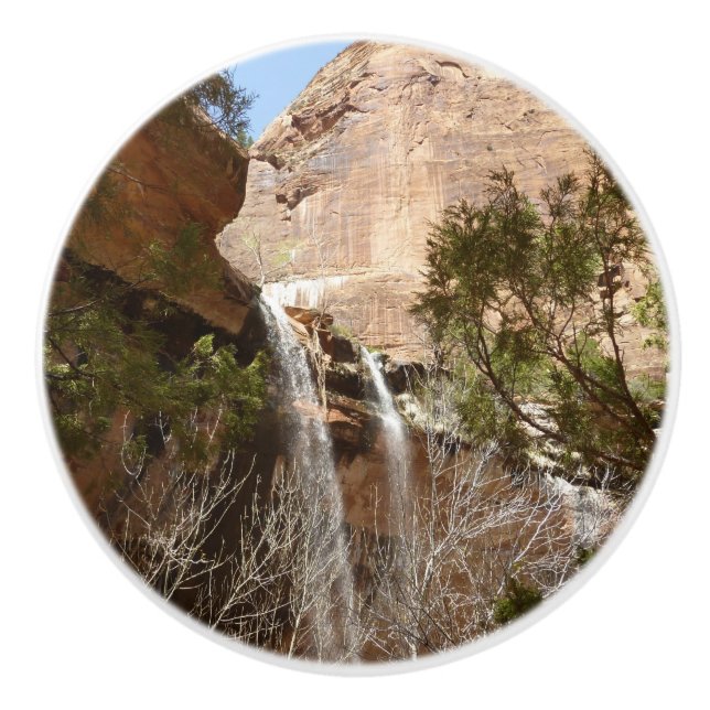 Emerald Pool Falls I från Zion National Park Knopp (Framsidan)