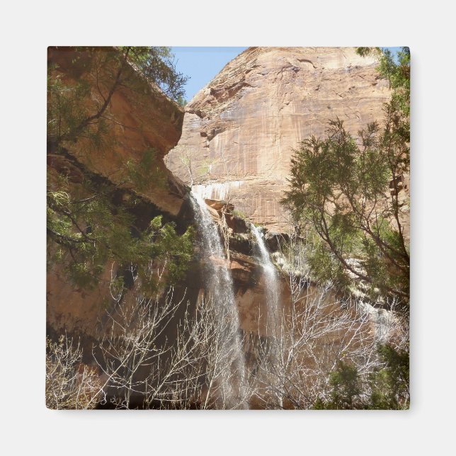 Emerald Pool Falls I från Zion National Park Magnet (Framsidan)
