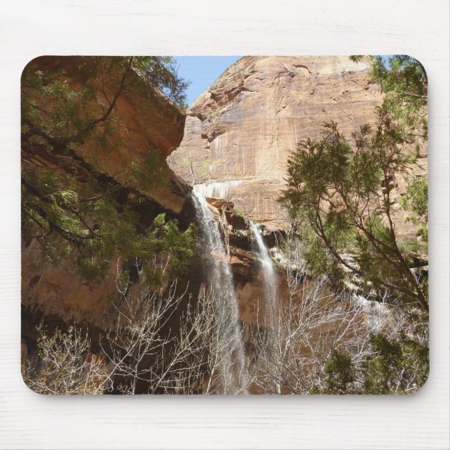 Emerald Pool Falls I från Zion National Park Musmatta (Framsidan)