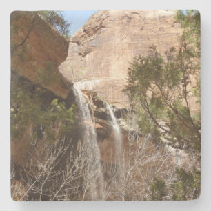 Emerald Pool Falls I från Zion National Park Stenunderlägg