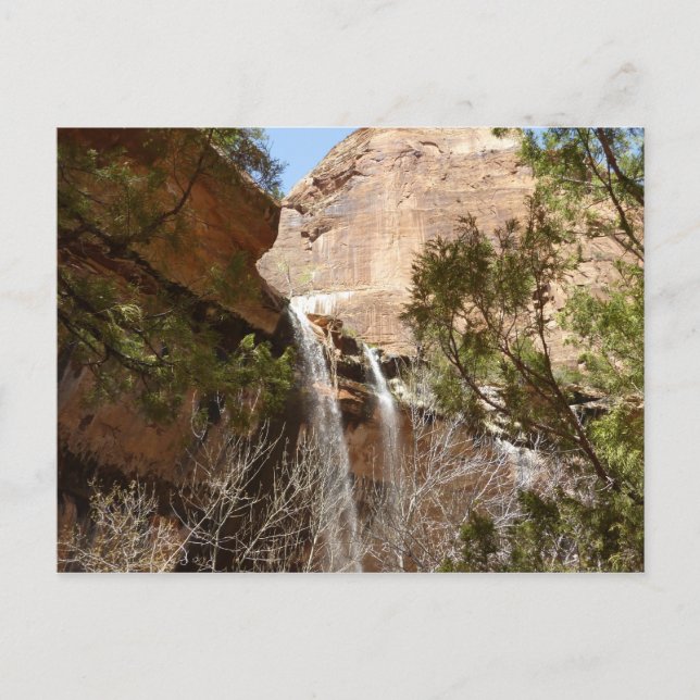 Emerald Pool Falls I från Zion National Park Vykort (Framsida)