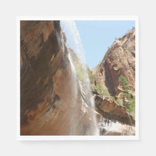 Emerald Pool Falls II från Zion National Park Pappersservett