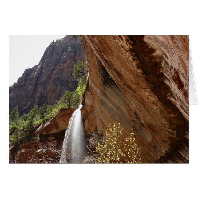 Emerald Pool Falls III från Zion National Park Hälsningskort (Framsidan Horizontal)