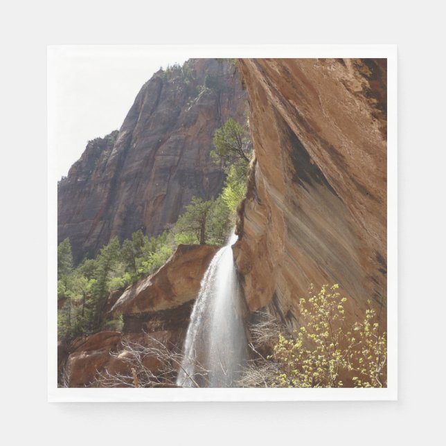 Emerald Pool Falls III från Zion National Park Pappersservett (Framsidan)