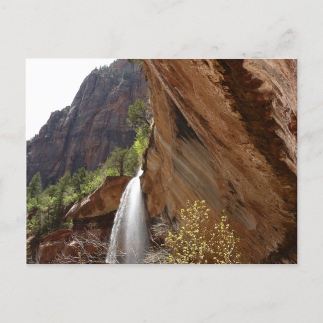 Emerald Pool Falls III från Zion National Park Vykort (Framsida)