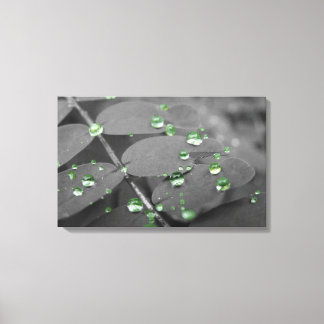 Emerald Rain Drops Canvastryck