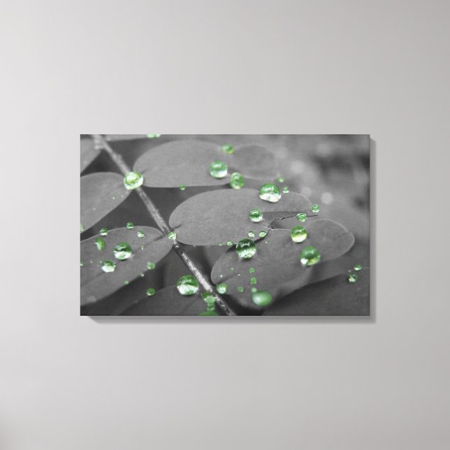 Emerald Rain Drops Canvastryck (Framsida)