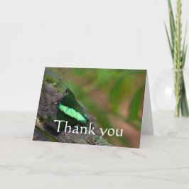 Emerald Swallowsvansktack Tack Kort