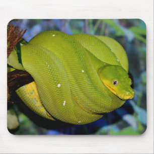 Emerald Träd Boa-orm Musmatta