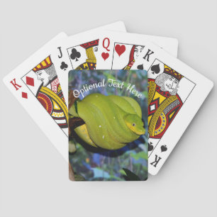Emerald Träd Boa Snake Casinokort