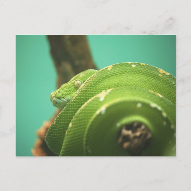 Emerald Vykort (Framsida)