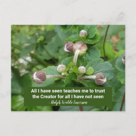 Emerson Quote Flower Buds Faith Trust the Creator Vykort