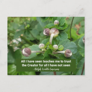 Emerson Quote Flower Buds Faith Trust the Creator Vykort