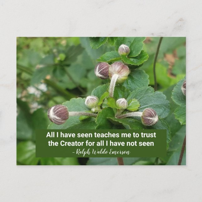 Emerson Quote Flower Buds Faith Trust the Creator Vykort (Framsida)