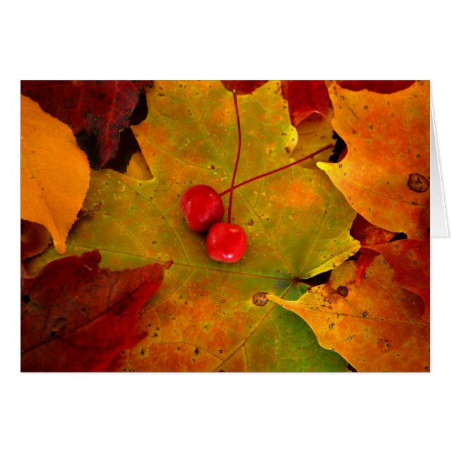 Emerys farstubro II Hälsningskort (Framsidan Horizontal)