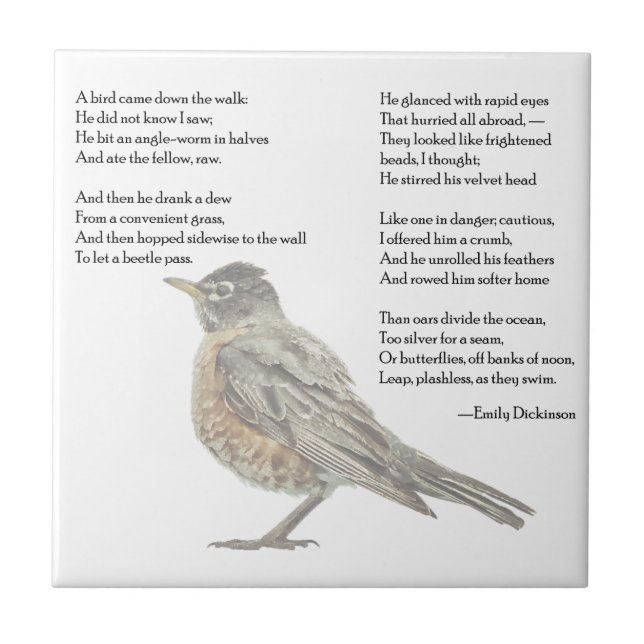 Emily Dickinson "In the Garden" Dikt Tile Kakelplatta (Framsidan)