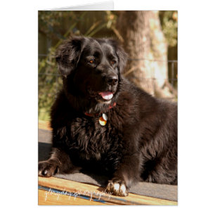 Emma glorydaysphotography hälsningskort