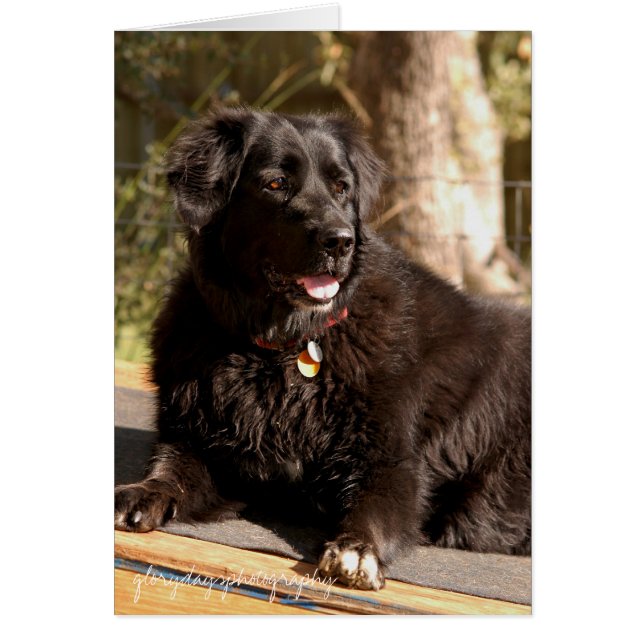 Emma, glorydaysphotography hälsningskort (Framsidan)