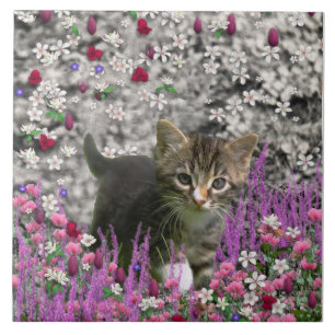 Emma i blommor mig - lite grå kattunge kakelplatta
