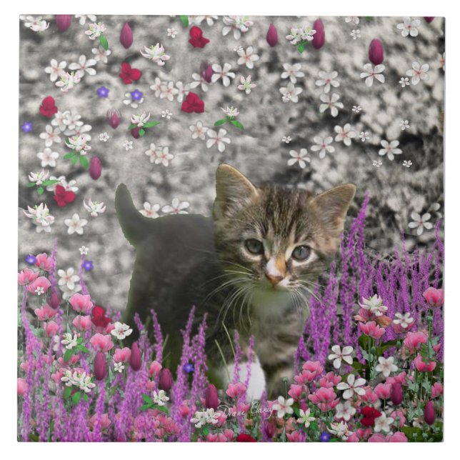 Emma i blommor mig - lite grå kattunge kakelplatta (Framsidan)